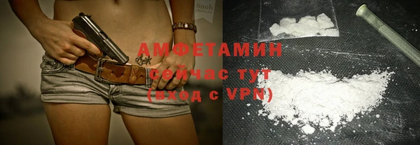 дмт Вяземский