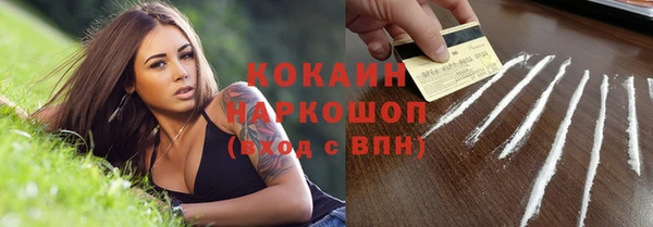 прущие грибы Волосово