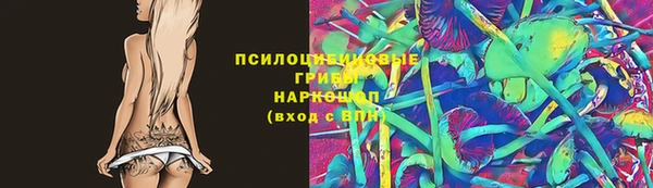 дмт Вяземский