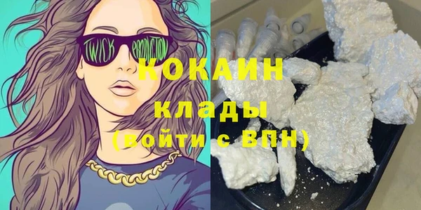 шишки Вязьма