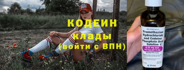 шишки Вязьма