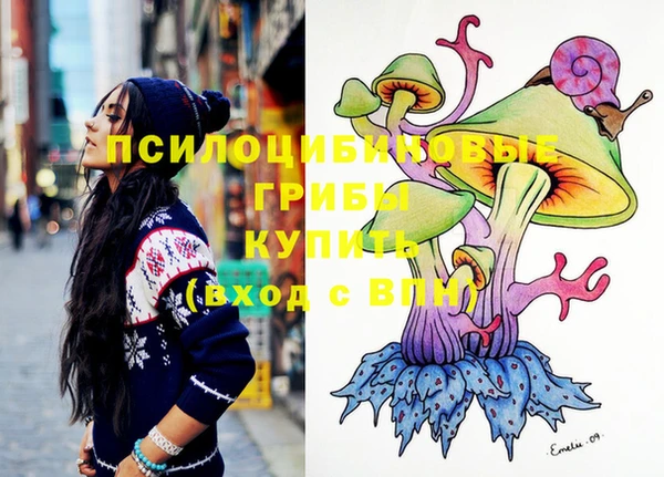 дмт Вяземский