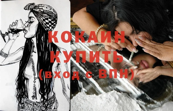 шишки Вязьма