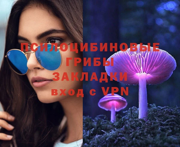 дмт Вяземский