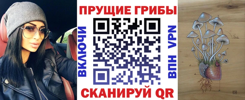 Галлюциногенные грибы прущие грибы сайты даркнета клад Черкесск