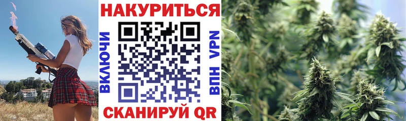 Конопля MAZAR  Черкесск 
